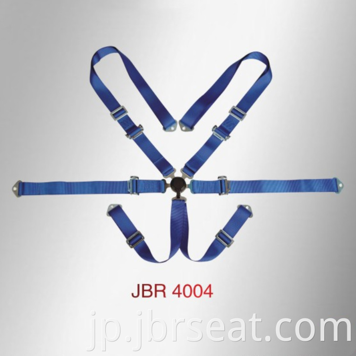 Auto Safety Seat Belt